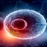 BCR Test: Uses, Cost, and Role in Leukemia Diagnosis and Monitoring