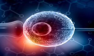 BCR Test: Uses, Cost, and Role in Leukemia Diagnosis and Monitoring