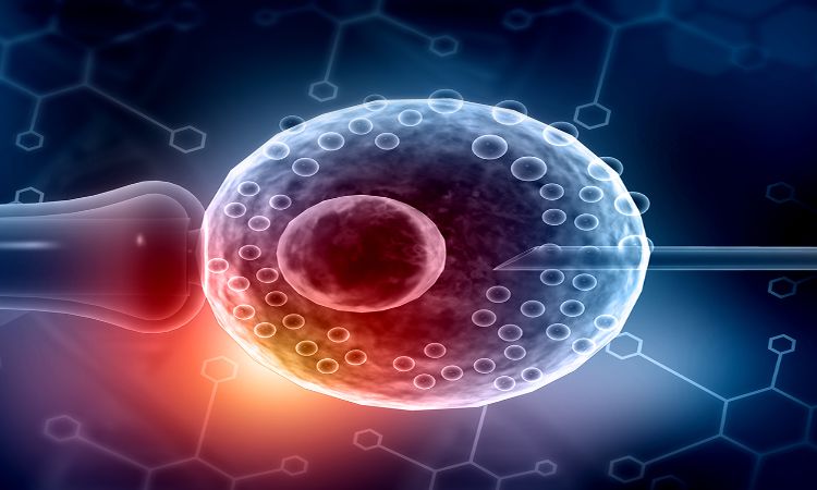 BCR Test: Uses, Cost, and Role in Leukemia Diagnosis and Monitoring