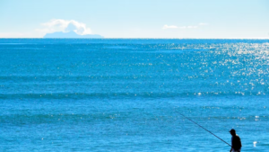 Fishing
