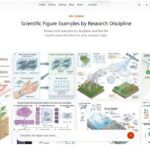 Graphical Abstract