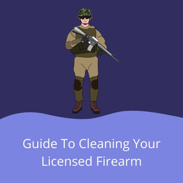 Holly Plant Season Instagram Post (3)