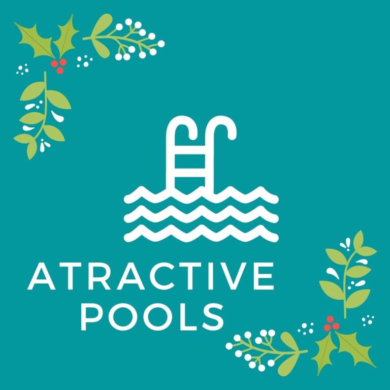 Holly Plant Season Instagram Post