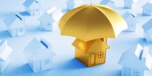 Home Insurance Paradox