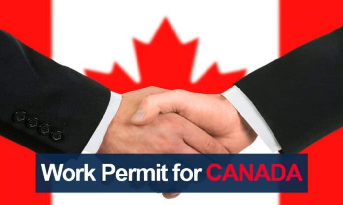 How to Obtain a Study Permit for Canada