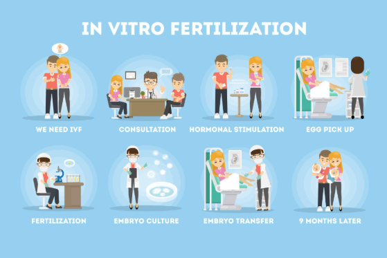 IVF TREATMENT