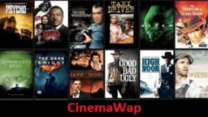 Is-Cinewap-Piratical