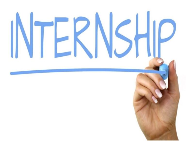 Unlock the Benefits of an Online Internship Program: Why Students Should Consider It ?