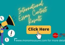 international essay writing competition