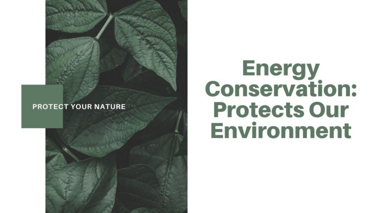 Light Blue and Coral Marketing Strategy Presentation (2)