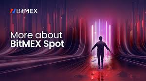 Look into Professional Cryptocurrency Trading on BitMEX