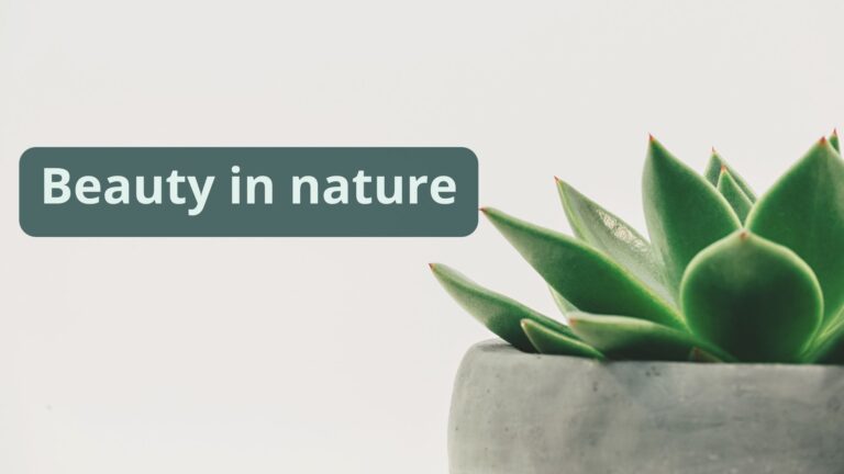 Monomousumi - 2021-11-20T225236.702