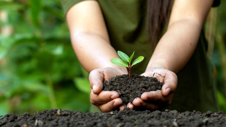 Monomousumi - 2022-05-28T081505.972