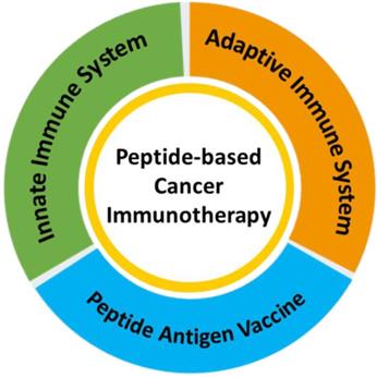 Peptide-Based Cancer Vaccines