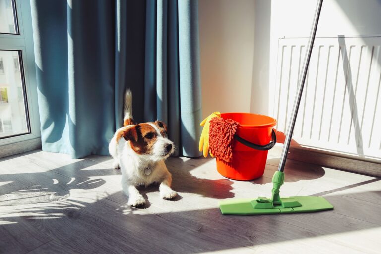 Pet-Friendly Cleaning Products