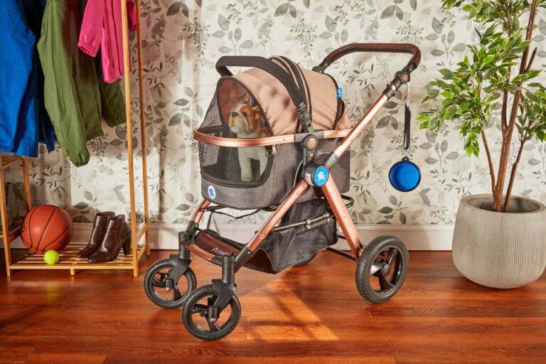 Pet Stroller