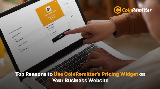 CoinRemitter’s Pricing Widget