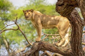 Screenshot 2025-09-16 214132