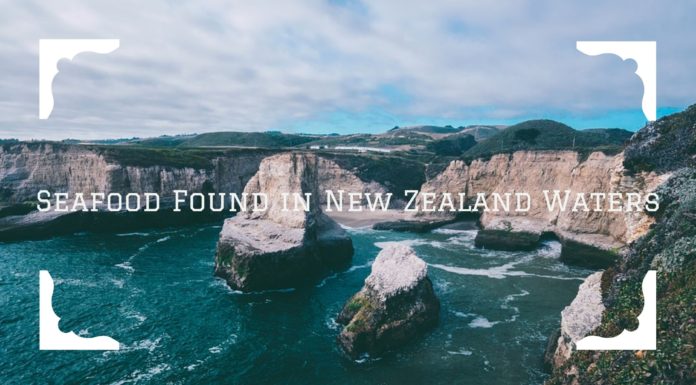 NEW ZEALAND