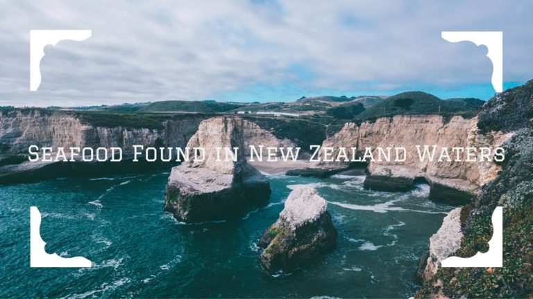 NEW ZEALAND