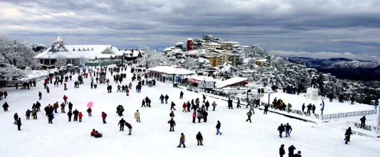 Shimla