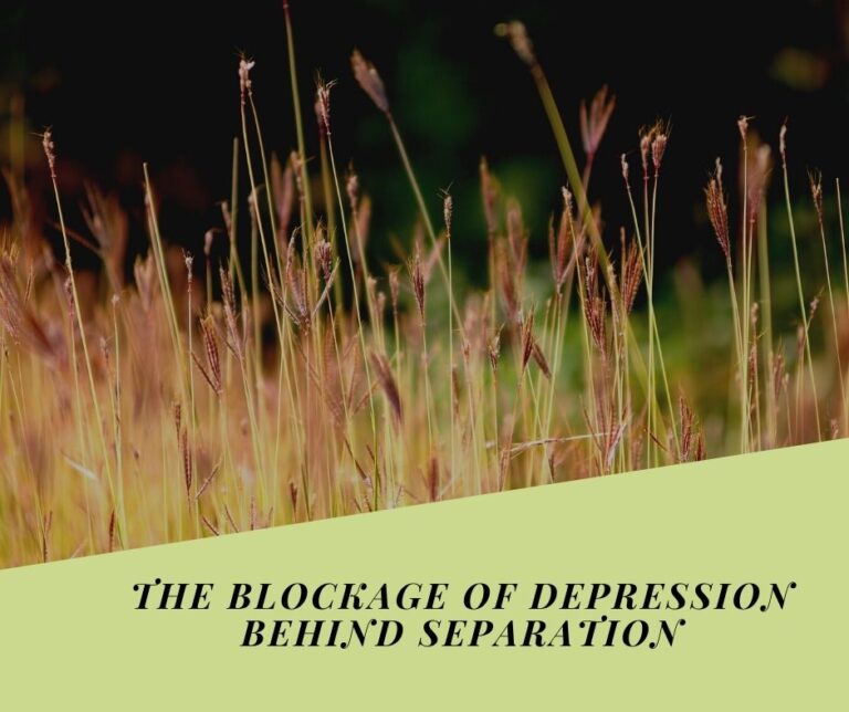 THE BLOCKAGE OF DEPRESSION BEHIND SEPARATION