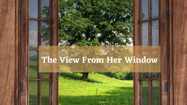 The View From Her Window