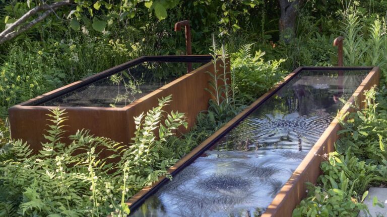 Trip Kerala Those waters are mine Onam