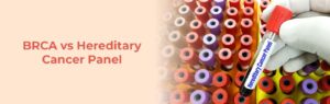 BRCA test or a Hereditary Cancer Panel test