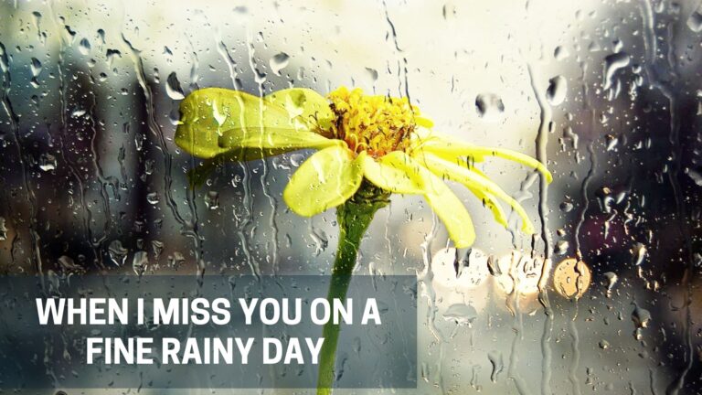 When I Miss you on a Fine Rainy Day