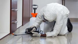 Why Is Year Round Pest Protection Essential in the Arizona