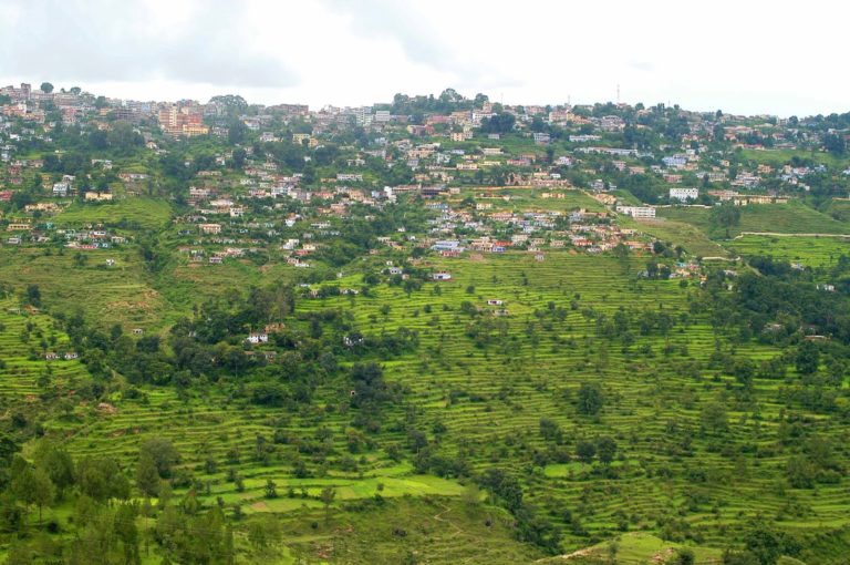 almora