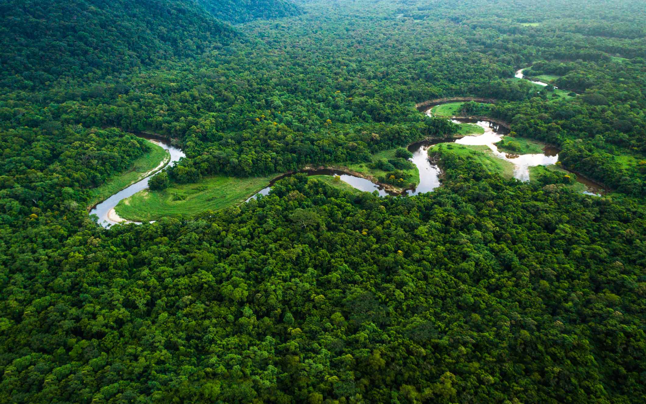 what is the world’s largest rainforest and where is it located?