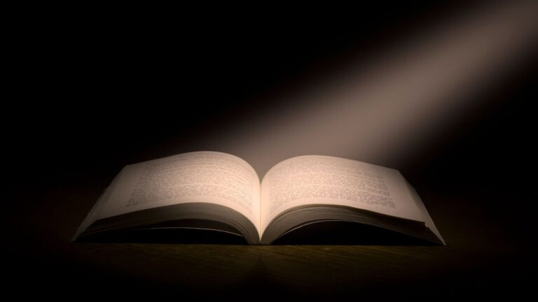 Diary Kim accountancy fairies KimMurder book Foul But Fair