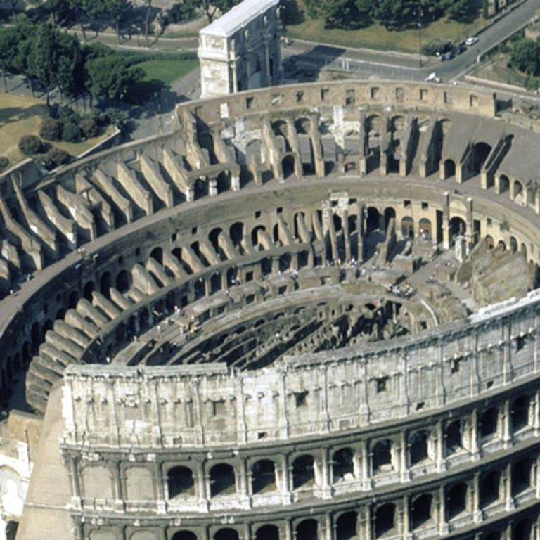 The Colosseum- An Organic Enigma