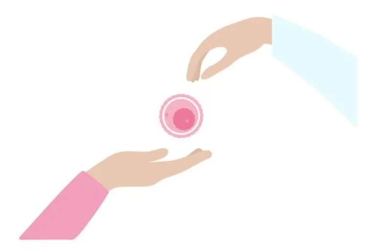 egg-donation-how-does-it-work