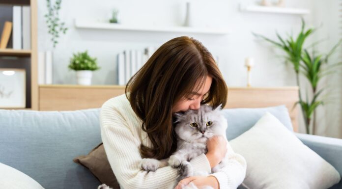 young woman cuddling cat on couch
