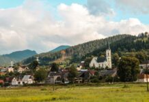 white and brown houses surrounded by green forest and a mountain in the background.