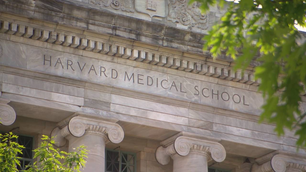 harvard medical school research articles