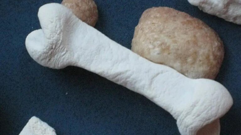 unnamed - 2025-02-22T174934.920