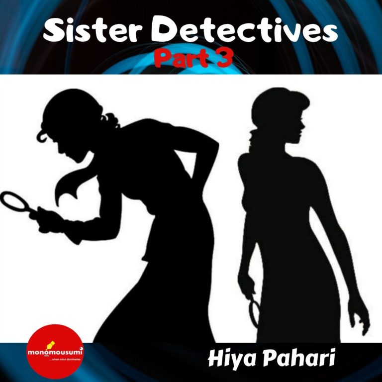 Detective Story: Sister Detectives (Part 3)